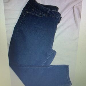 Blue Spice Wonens Stretch Denim Jean Jeggings Size 18